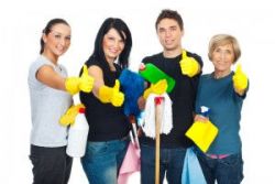 Domestic Cleaning UK