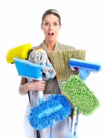 The Lucrative Benefits of House Cleaning Biz