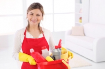 Keeping Your Home Clean: Simple Tips and Strategies to Live in a Tidy and Sanitary Home